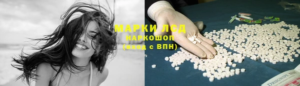 прущие крисы Белая Холуница